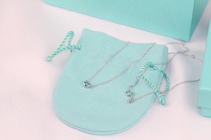 Tiffany Elsa Peretti Series Single Cubic Zirconia Simple Necklace