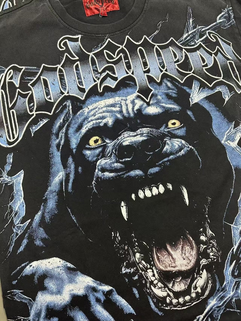 Godspeed Panther Graphic Washed Black T-Shirt — detail